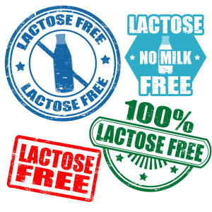 Labels saying lactose free for lactose intolerance.