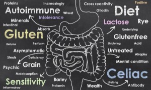 A list of possible causes of IBS from solvingtheibspuzzle.com